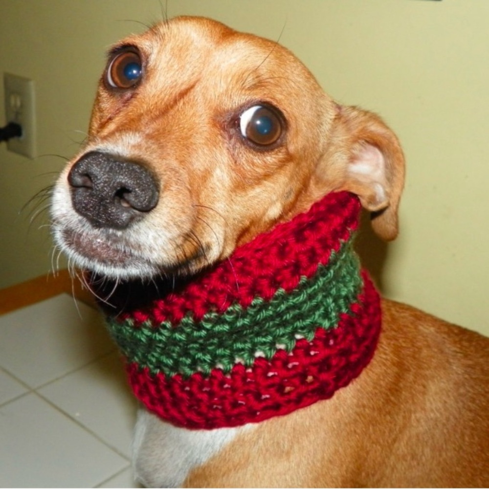 Christmas Dog Cat Cowl Silky Soft Cowl   Hand Crochet   Sizes XXSmall 10-11"Cir
